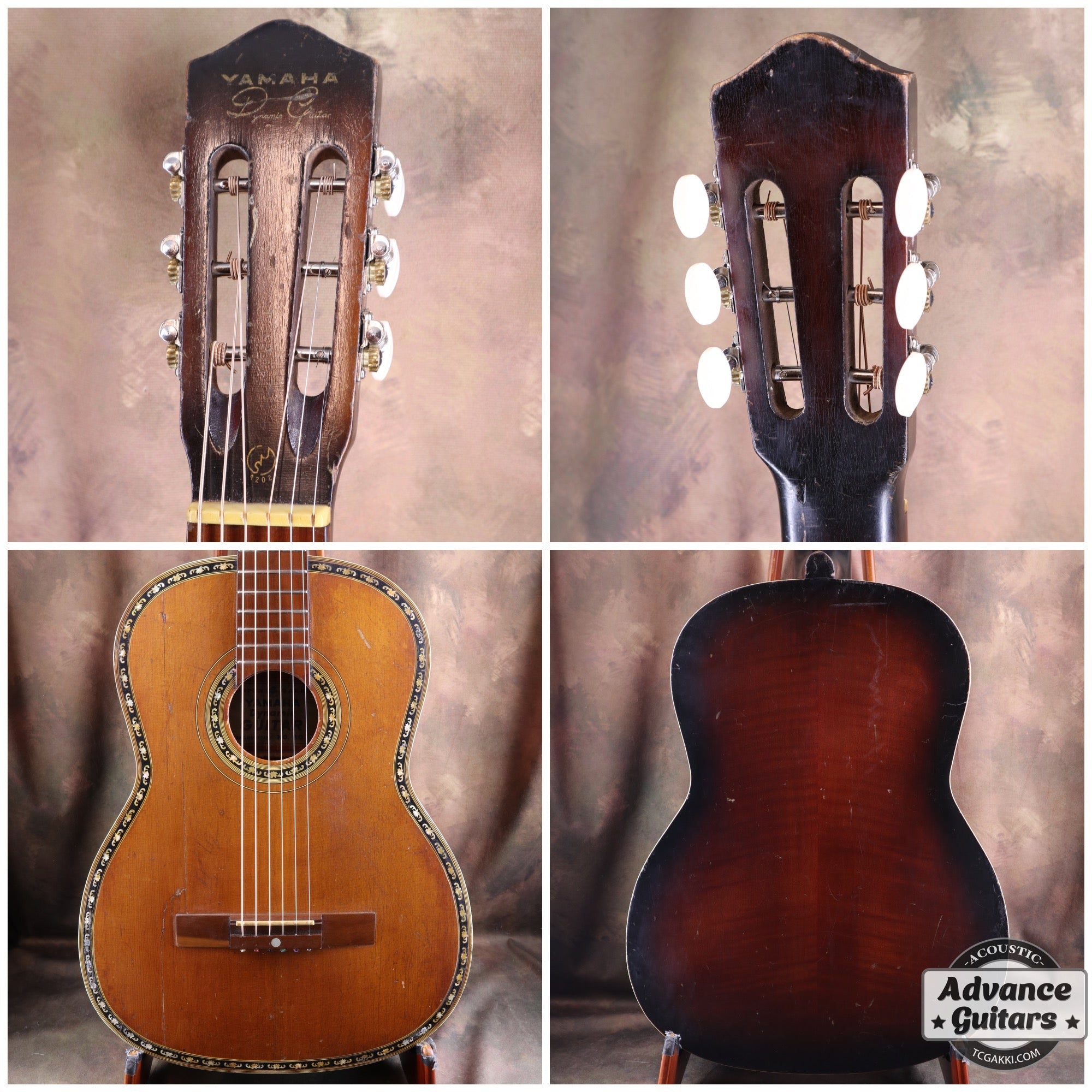 Dynamic Guitar No.80