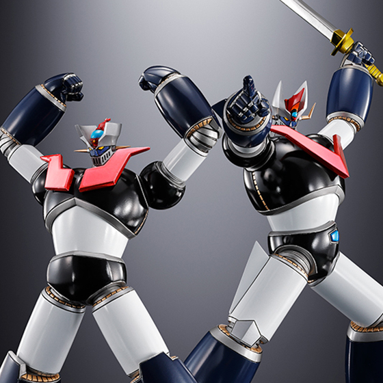 METAL BUILD ストライクフリーダムガンダム [METAL BUILD FESTIVAL