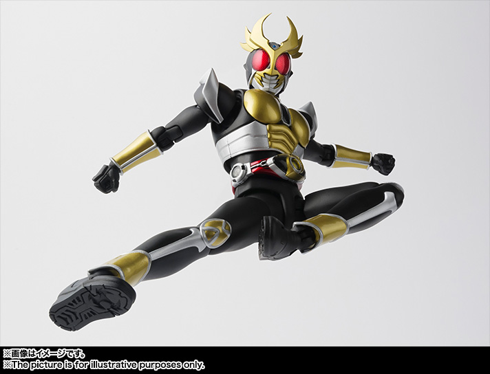 S.H.Figuarts（真骨彫製法） 仮面ライダーアギト グランドフォーム