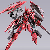 METAL BUILD 【抽選販売】ガンダムエクシア (10th ANNIVERSARY EDITION