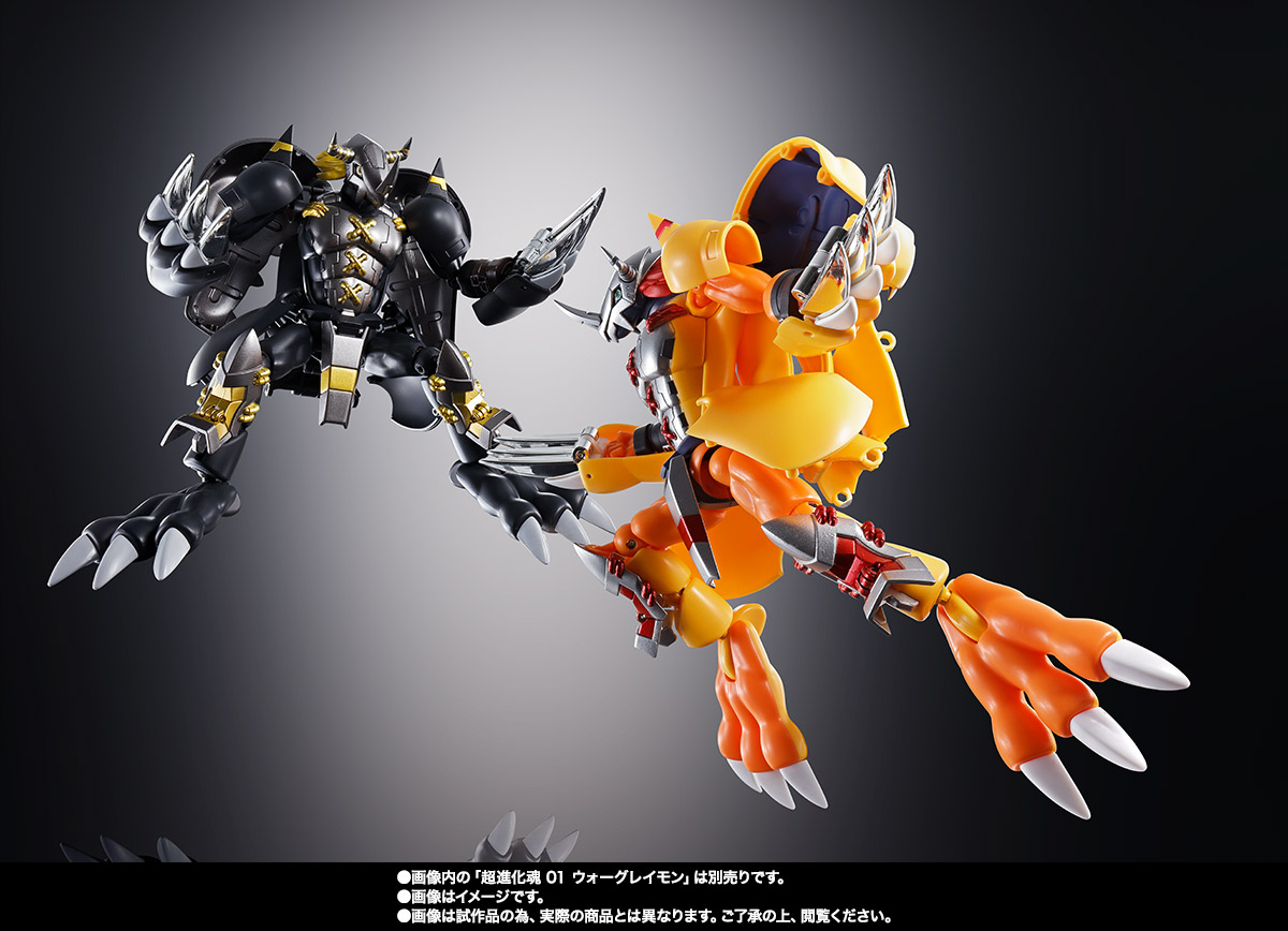 超進化魂 08 ブラックウォーグレイモン | 魂ウェブ