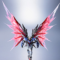 METAL BUILD デスティニーガンダム（ハイネ機）【2016年6月発送分