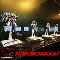 METAL BUILD 【抽選販売】ガンダムエクシア (10th ANNIVERSARY EDITION