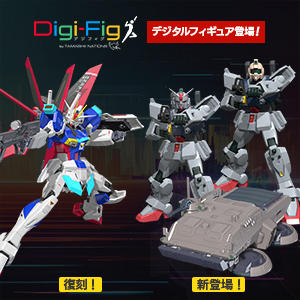 METAL ROBOT魂 ＜SIDE MS＞ デスティニーガンダムSpecII専用光の翼