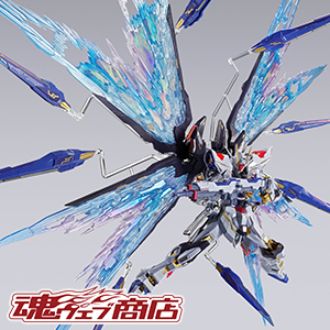 METAL BUILD デスティニーガンダム（フルパッケージ） [METAL BUILD