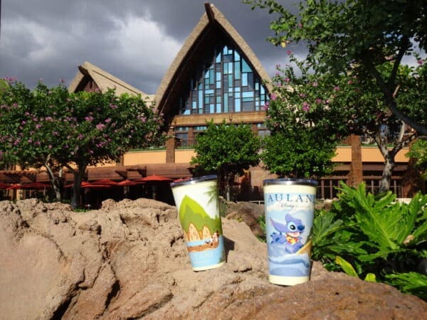 アウラニ ウルカフェリフィルマグ 購入 編 - 気ままな飛行機人のプログ