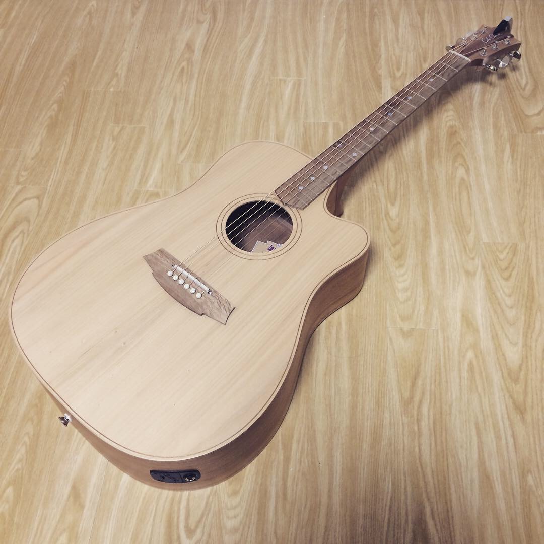 コールクラーク(Cole Clark)のエレアコのレビュー【特徴と音色