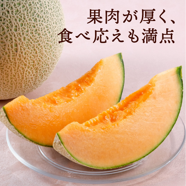 ティアラ秀品約1.6㎏2玉｜清水農園｜富良野メロン お取り寄せ 物産
