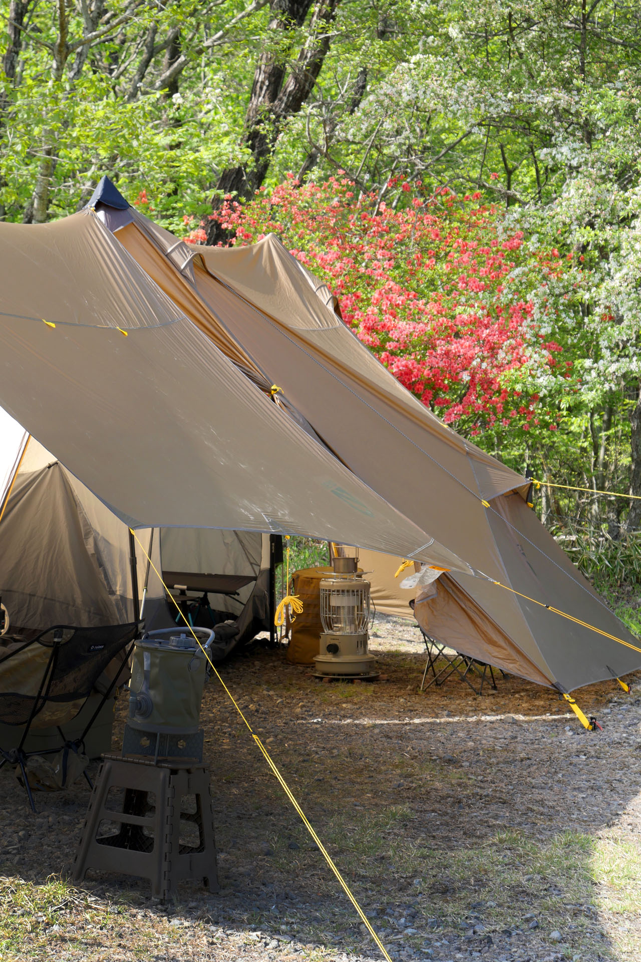 大型軽量シェルター＆タープ / NEMO HEXALITE LE 6P × SHADOWCASTER LE