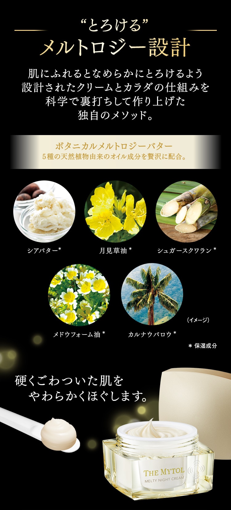 誕生。とろけるナイトクリーム ｜ THE MYTOL MELTY NIGHT CREAM ザ