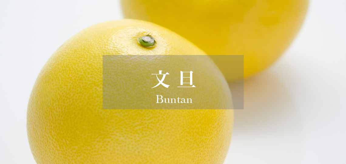 柑橘 | 新宿高野 高級フルーツギフトの老舗果物専門店 – 新宿高野