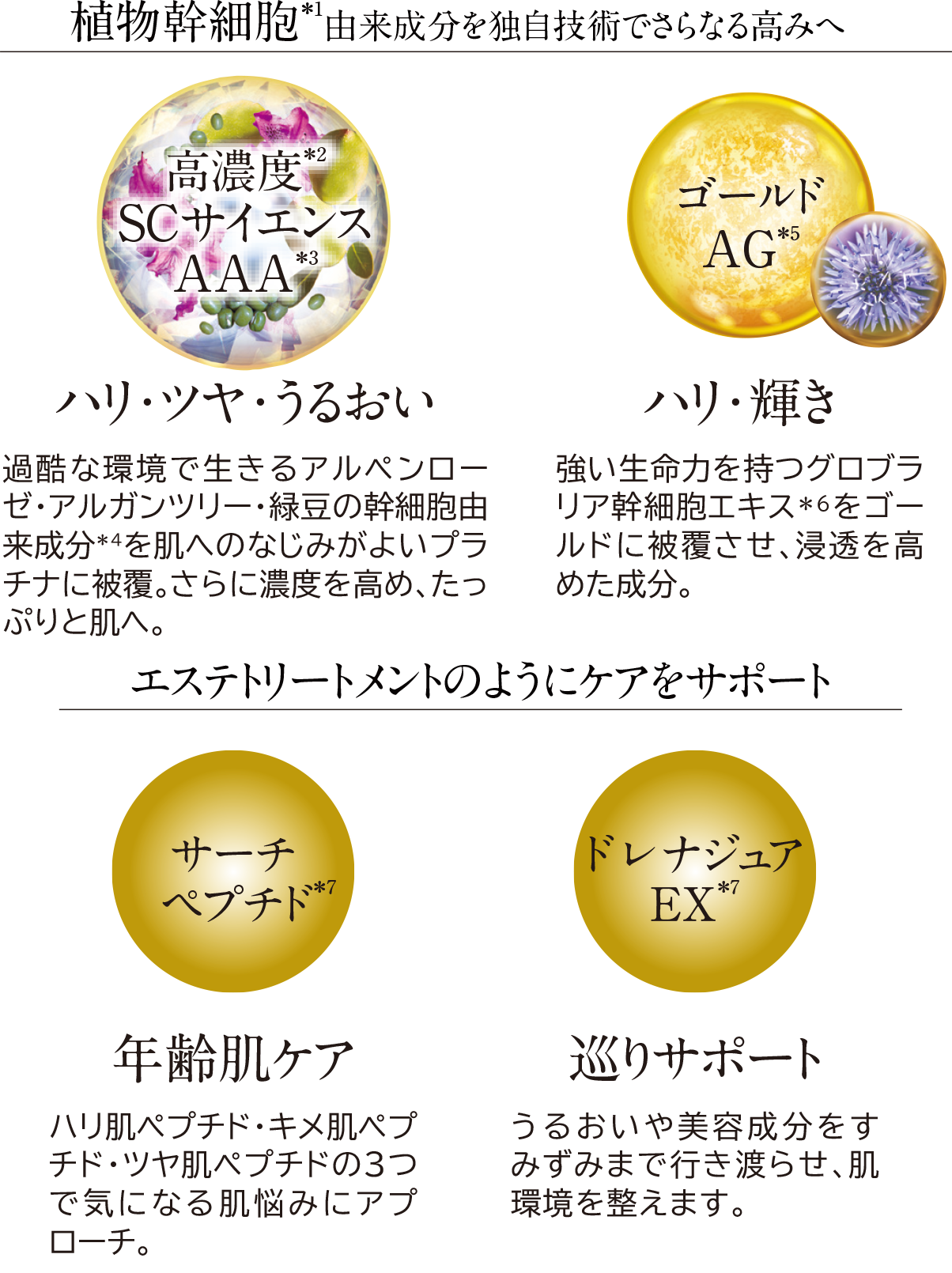 たかの友梨ビューティクリニック／株式会社不二ビューティ