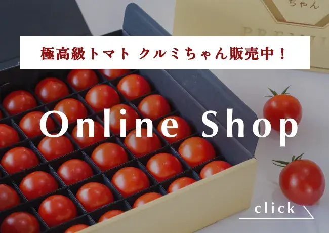 竹之内農園 | 千葉県船橋市のトマト農園