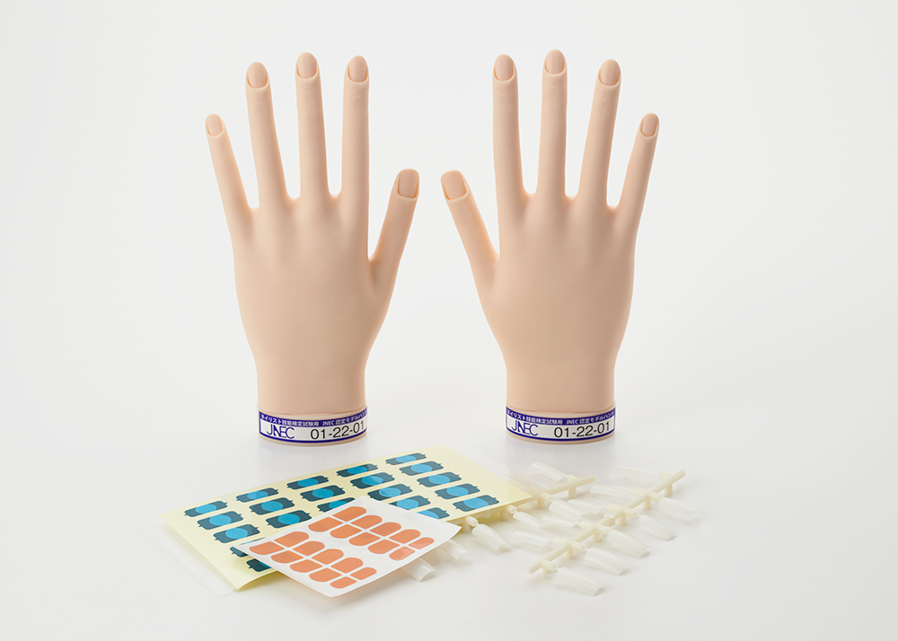 ネイリスト技能検定試験用　認定モデルハンド ネイリスト技能検定試験用 JNEC認定モデルハンド/チップセット/検定用