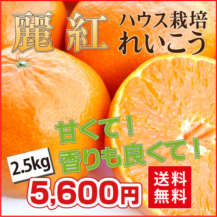 ハウス栽培 麗紅（れいこう）4.5kg