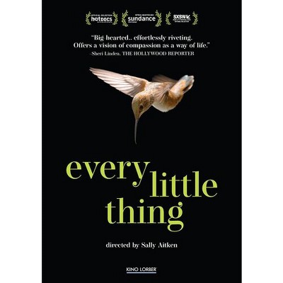 Every Little Thing (DVD)(2025) : Target