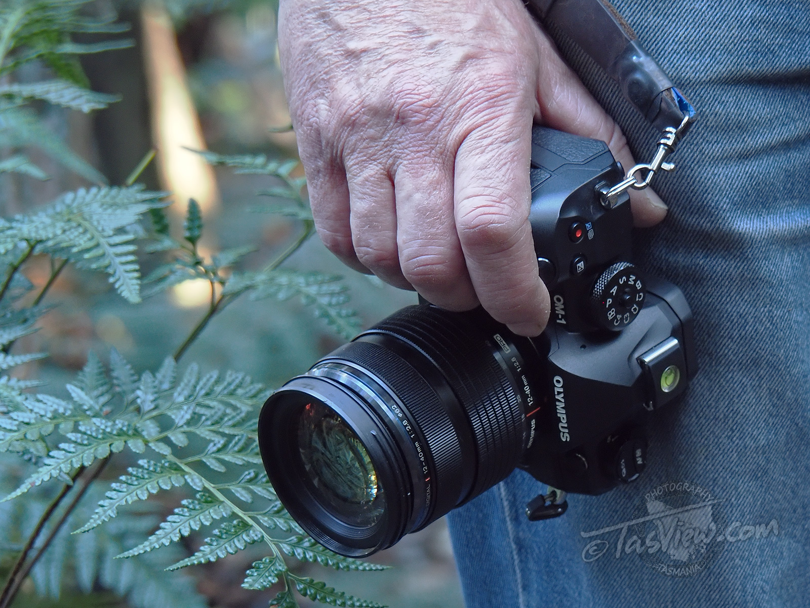 Olympus OM System OM-1 user review – TasView