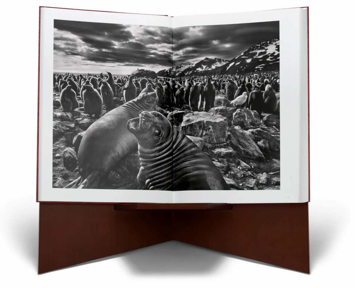 Sebastião Salgado. GENESIS, Art Edition No. 1–100. TASCHEN Books