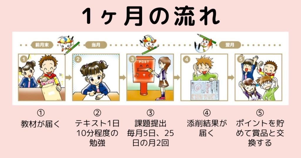ブンブンどりむの口コミ！中学受験の記述対策に役立つか本音で解説