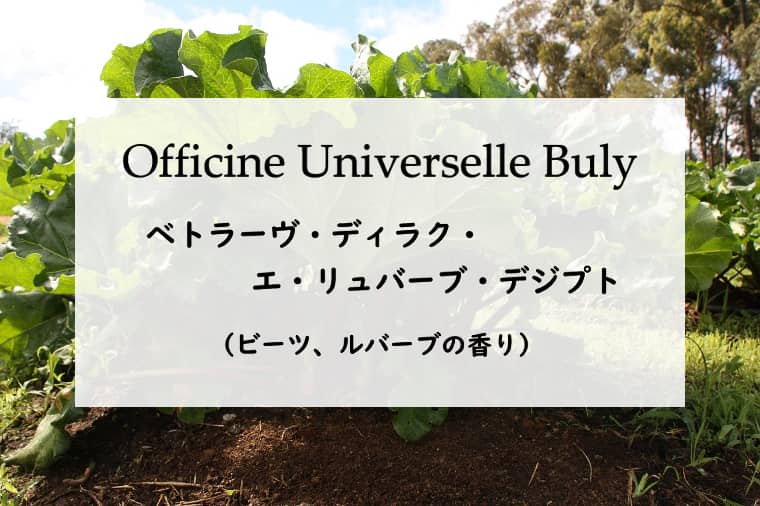 ビュリー】ベトラーヴ ディラク エ リュバーブ デジプトのレビュー