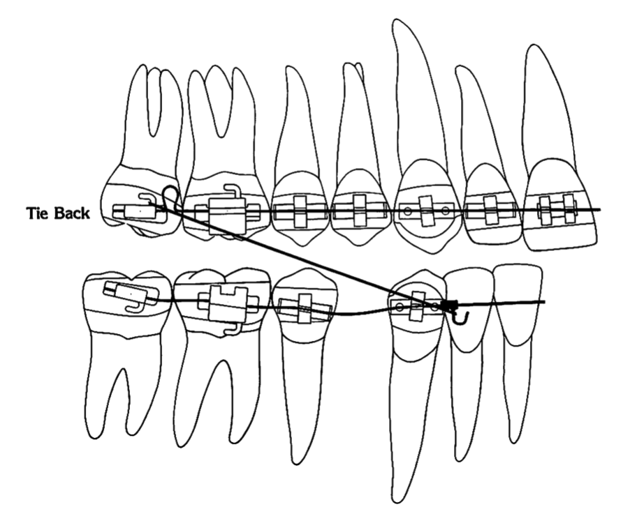 4559db9efc6f9da3598daf5894a1fd