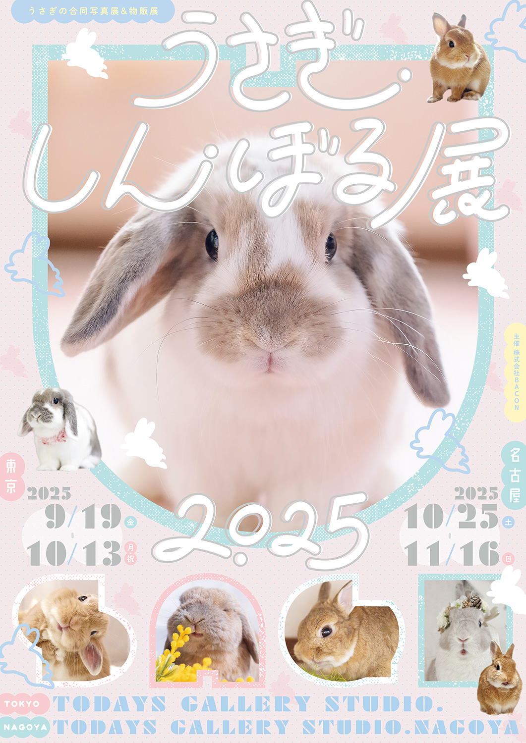 うさぎの合同写真展＆物販展「うさぎしんぼる展 2025」