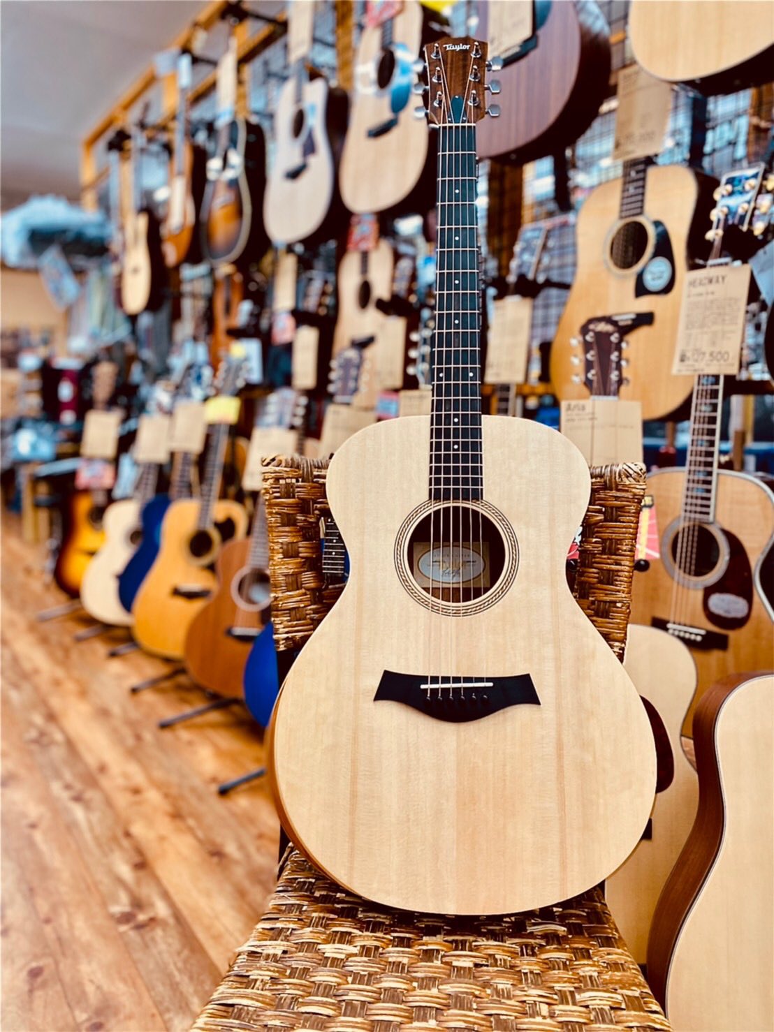 Taylor Academy12e | 天理楽器