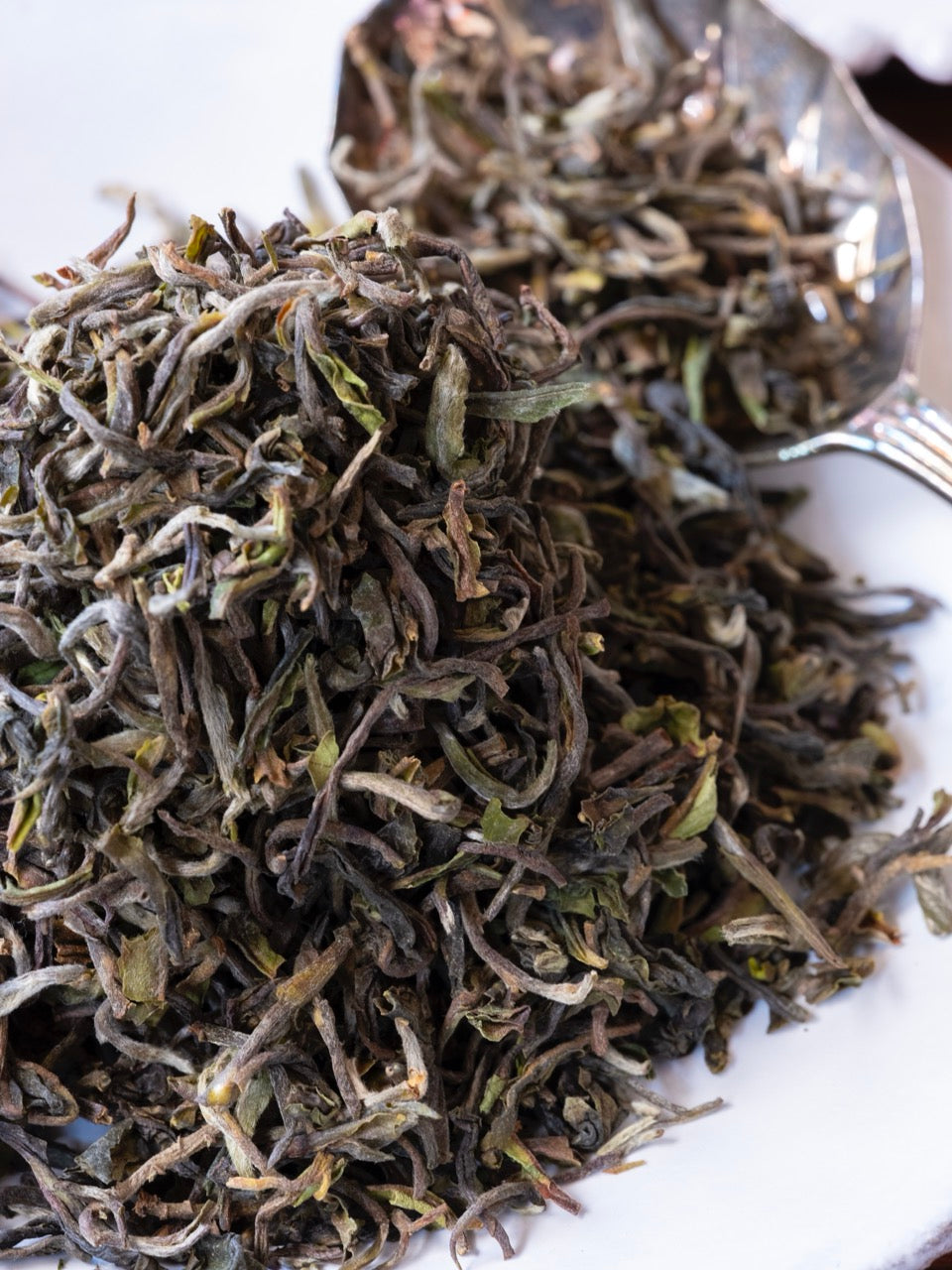 ダージリン 2025年 ファーストフラッシュ タルボ茶園 DJ-9 クローナル