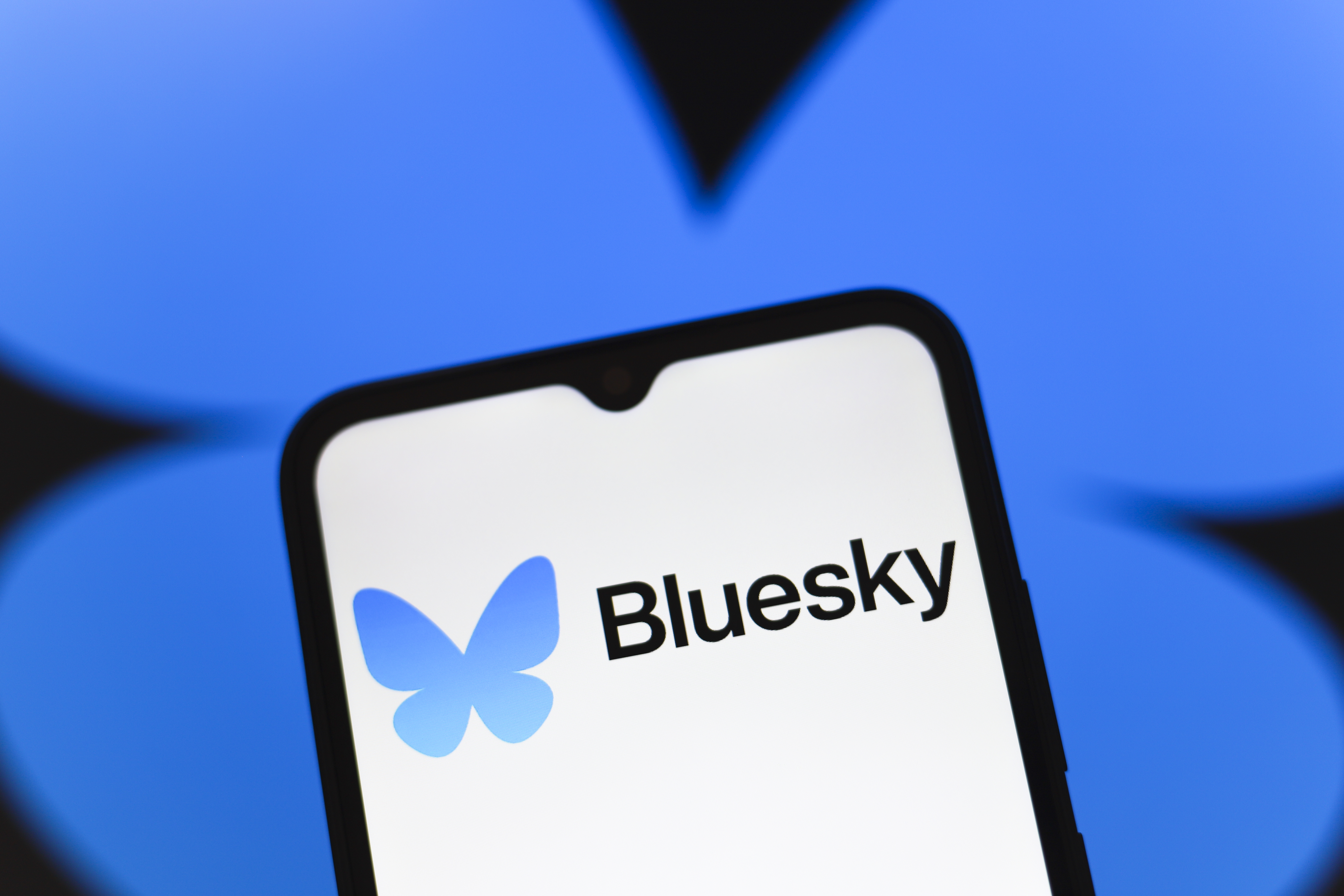 Bluesky feed builder Graze raises $1M, rolls out ads | TechCrunch