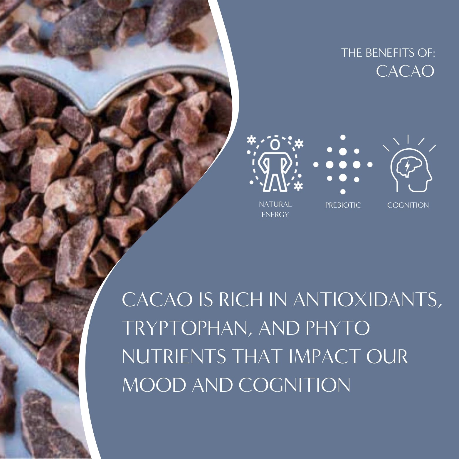 Dark Chocolate Prebiotic SuperBoost Herbal Coffee – Teeccino