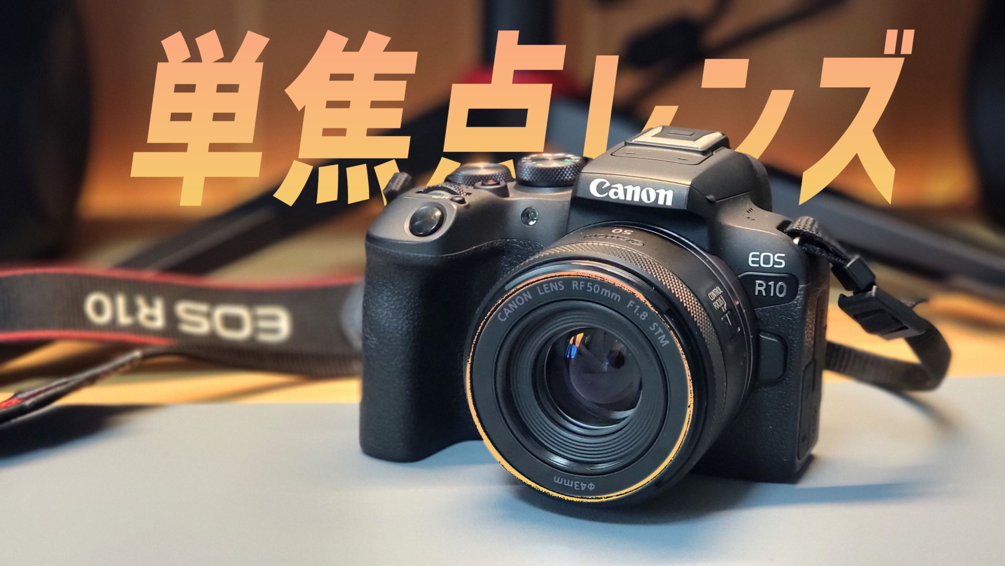 レビュー】単焦点レンズ「RF50mm F1.8 STM」の作例をCanon EOS R10で