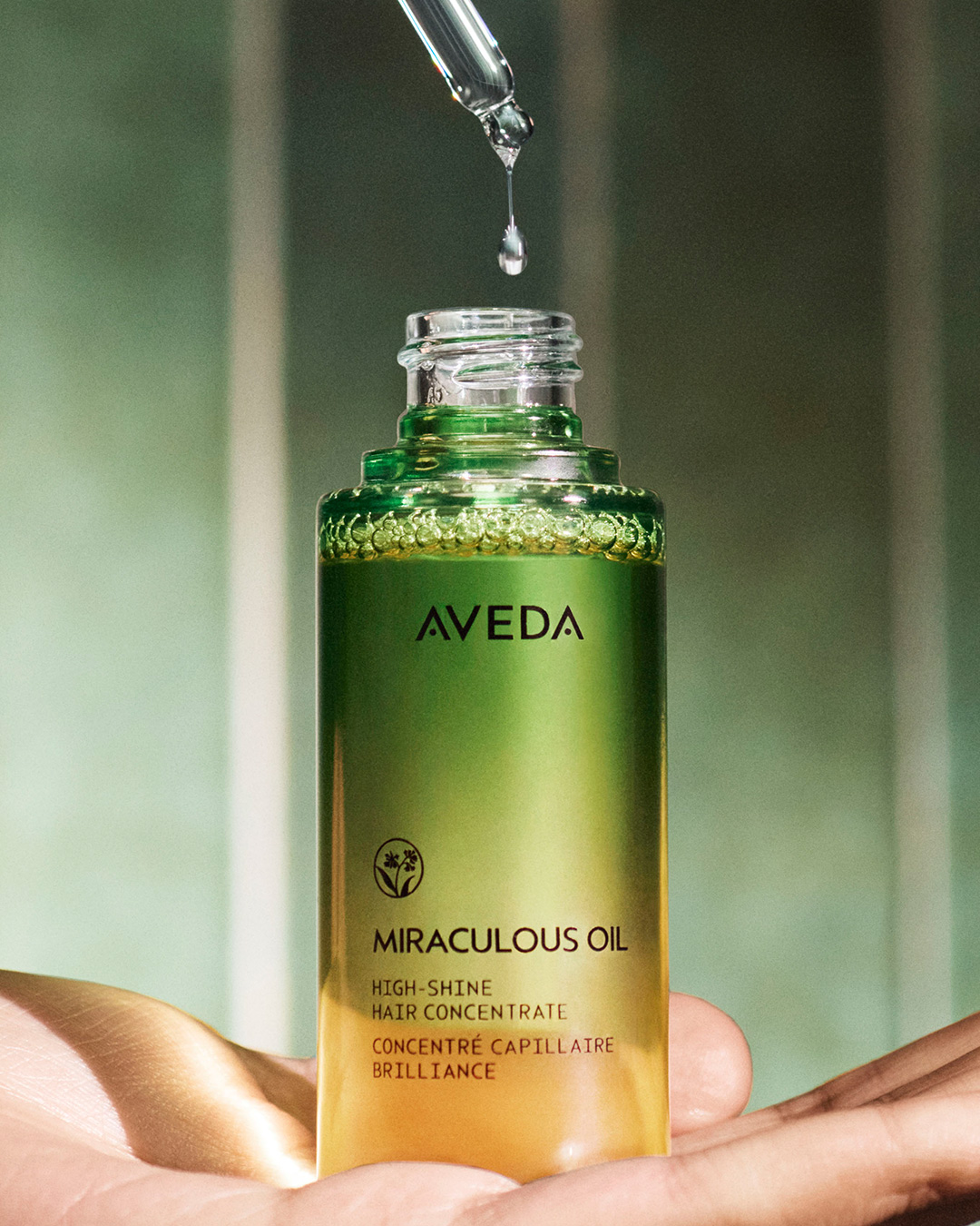 新登場】AVEDA コンセントレイト シャイン オイル | Terrace AVEDA