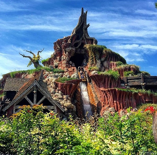 修学旅行 | スプラッシュ・マウンテン（カリフォルニア）