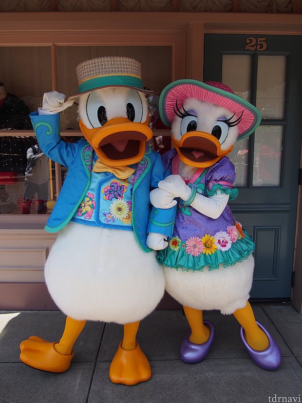 8abf3c93a85c452e3a1fb7c37bdfd0