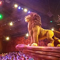 WDW】フェスティバル・オブ・ザ・ライオン・キング | アニマル