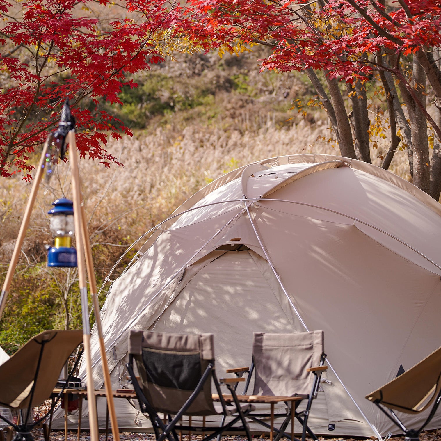 Sky Dome – THE FREE SPIRITS