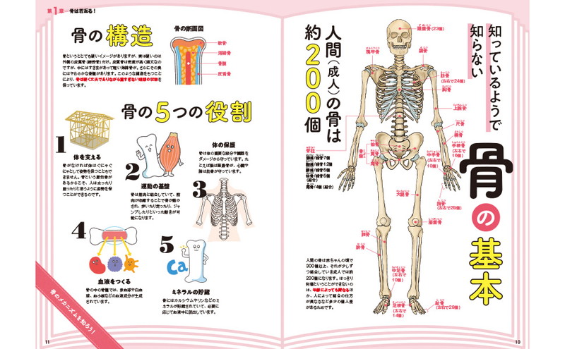 骨を強くして、骨折・骨粗しょう症・寝たきりを防ぐ！│宝島社の通販