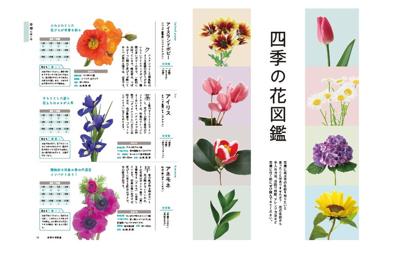 四季の花図鑑 バラの魅力大特集│宝島社の通販 宝島チャンネル
