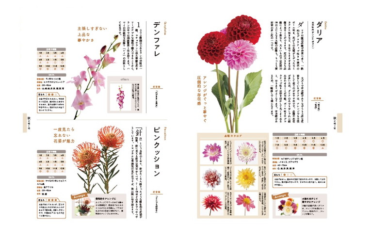 四季の花図鑑 バラの魅力大特集│宝島社の通販 宝島チャンネル