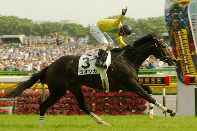 これを超える感動はない」 近代競馬の歴史を覆したウオッカ、府中をど