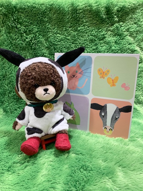 くまのがっこう 公式ホームページ