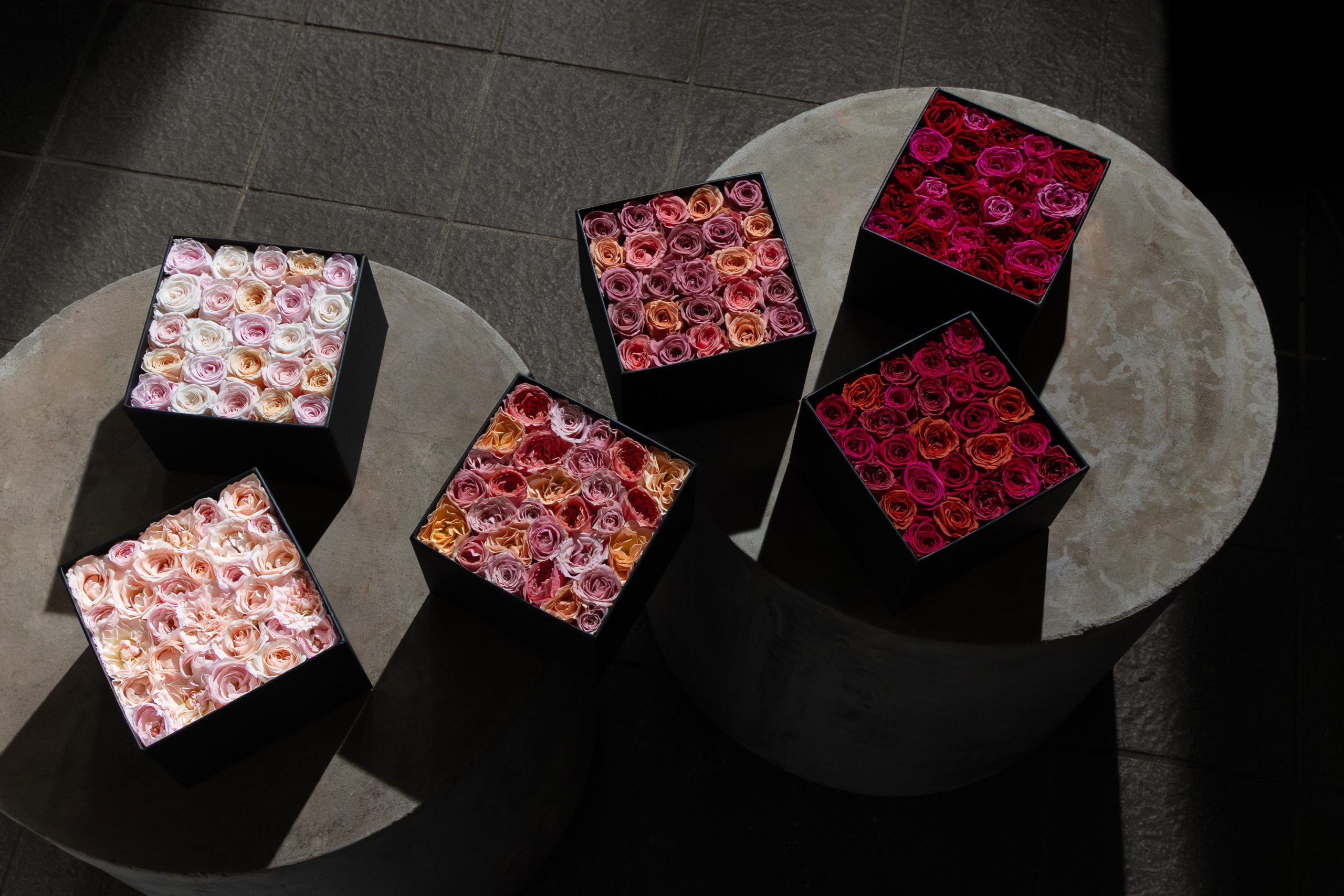 ニコライ バーグマン】「オータム 限定 ローズコレクション 2025」を