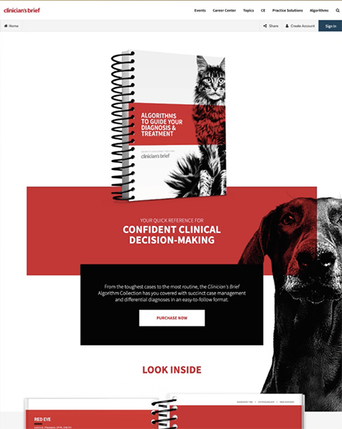 Entry 893 | The VETTYS Awards®