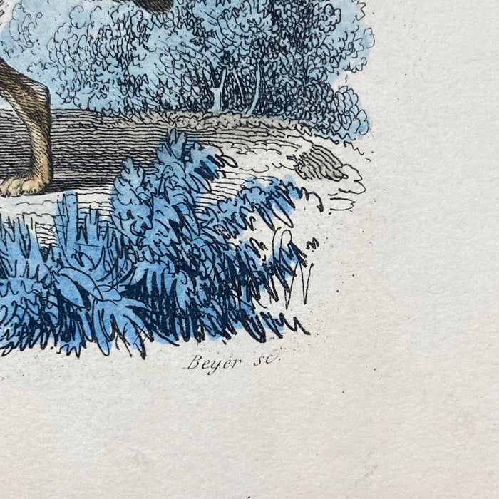 French Antique 18th Century 