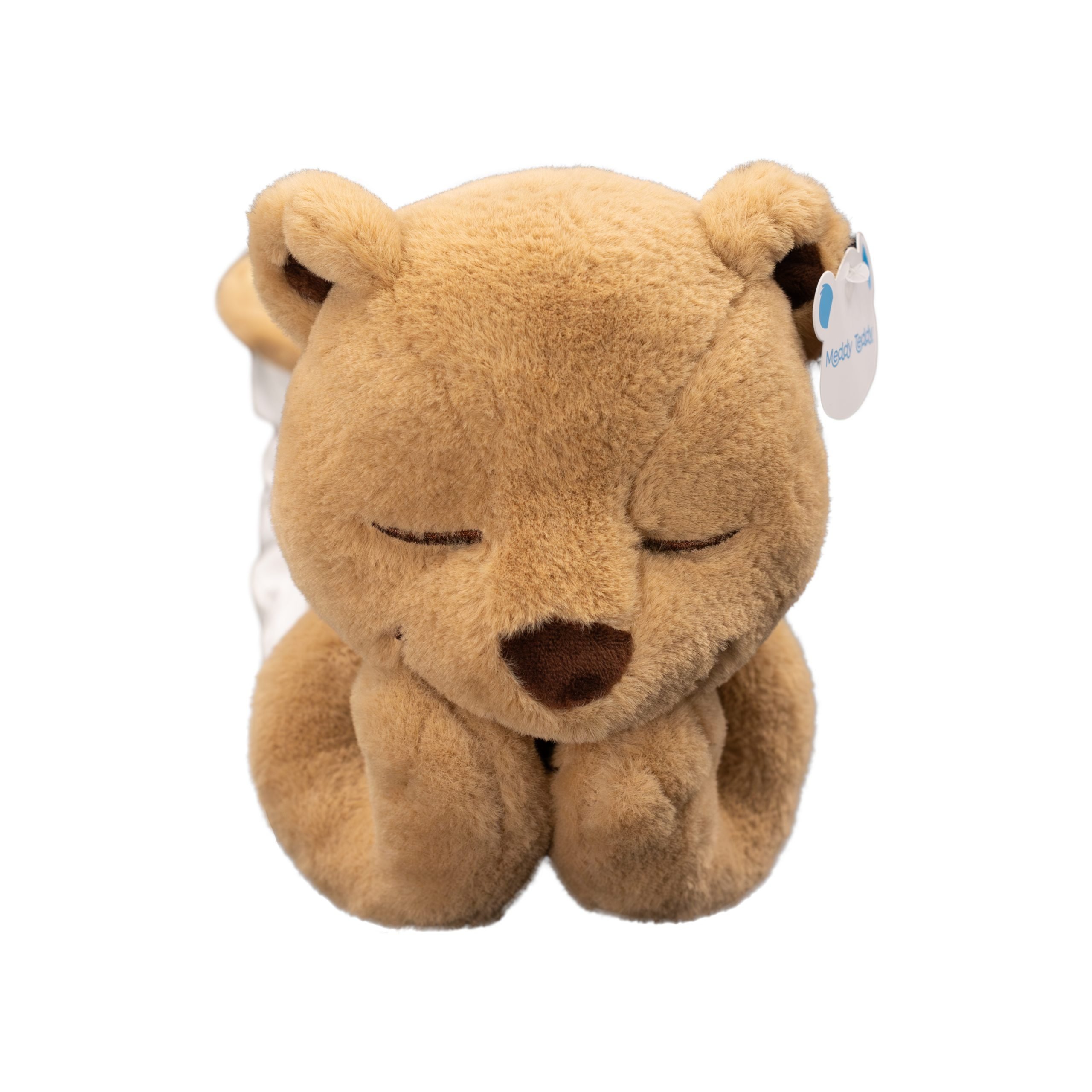 Meddy Teddy Kit | The Discovery Source