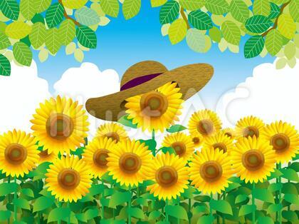 ひまわりと新緑（6）麦わら帽子イラスト - No: 1267569｜無料イラスト