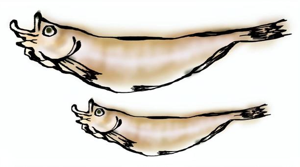 柳葉魚 Vectors, Clipart & Illustrations for Free Download - illustAC