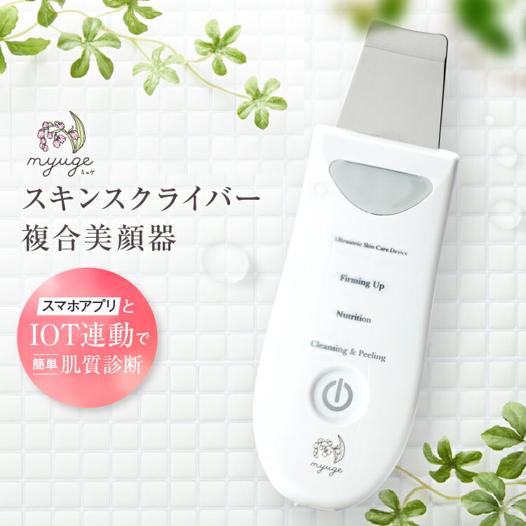 楽天市場】超 音波 スクライバーの通販