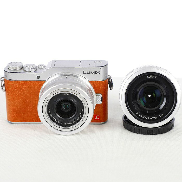楽天市場】lumix gf9（デジタルカメラ｜カメラ・ビデオカメラ・光学