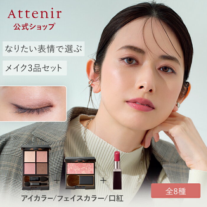 チーク アイシャドウ アイライナー リップ フェイスカラー メイク 13点